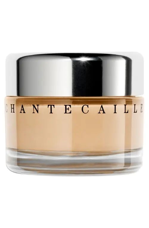 Chantecaille Future Skin Gel Foundation in Camomile at Nordstrom | Nordstrom
