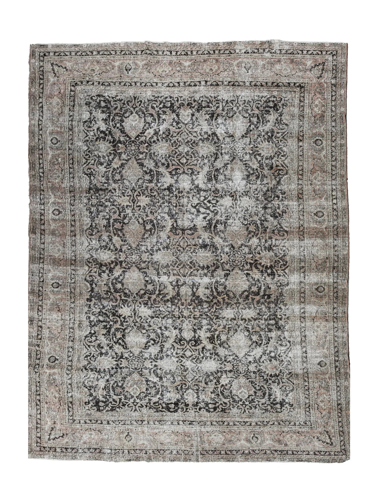 Suni (9x13) | Passerine