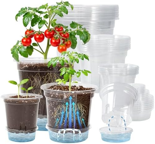 18 Pack 6.5/5/4 Inch Clear Self Watering Plant Pots with Bottom Water Tray & Watering Rope, Trans... | Amazon (US)