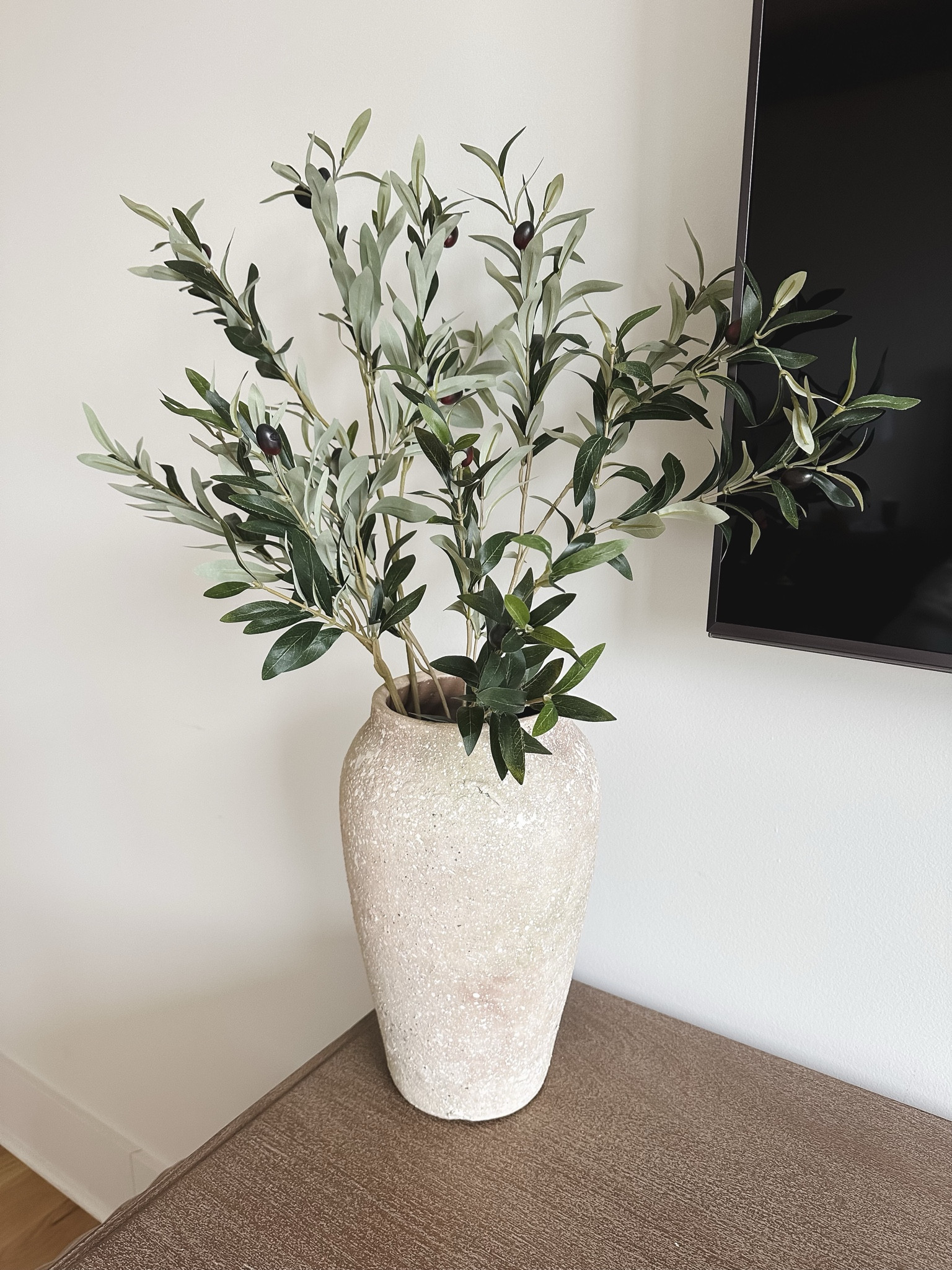 By far my favorite faux olive branches

#faux #greenery #olivebranch #vase #homedecor

#LTKunder100 #LTKFind #LTKhome