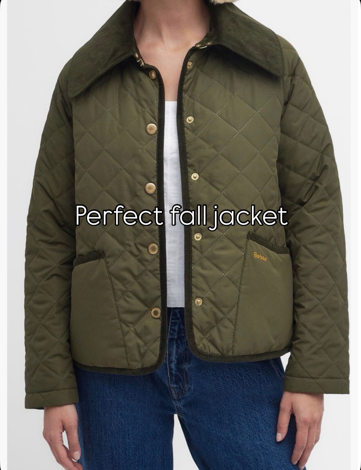 Fall jacket 
Nordstrom anniversary sale