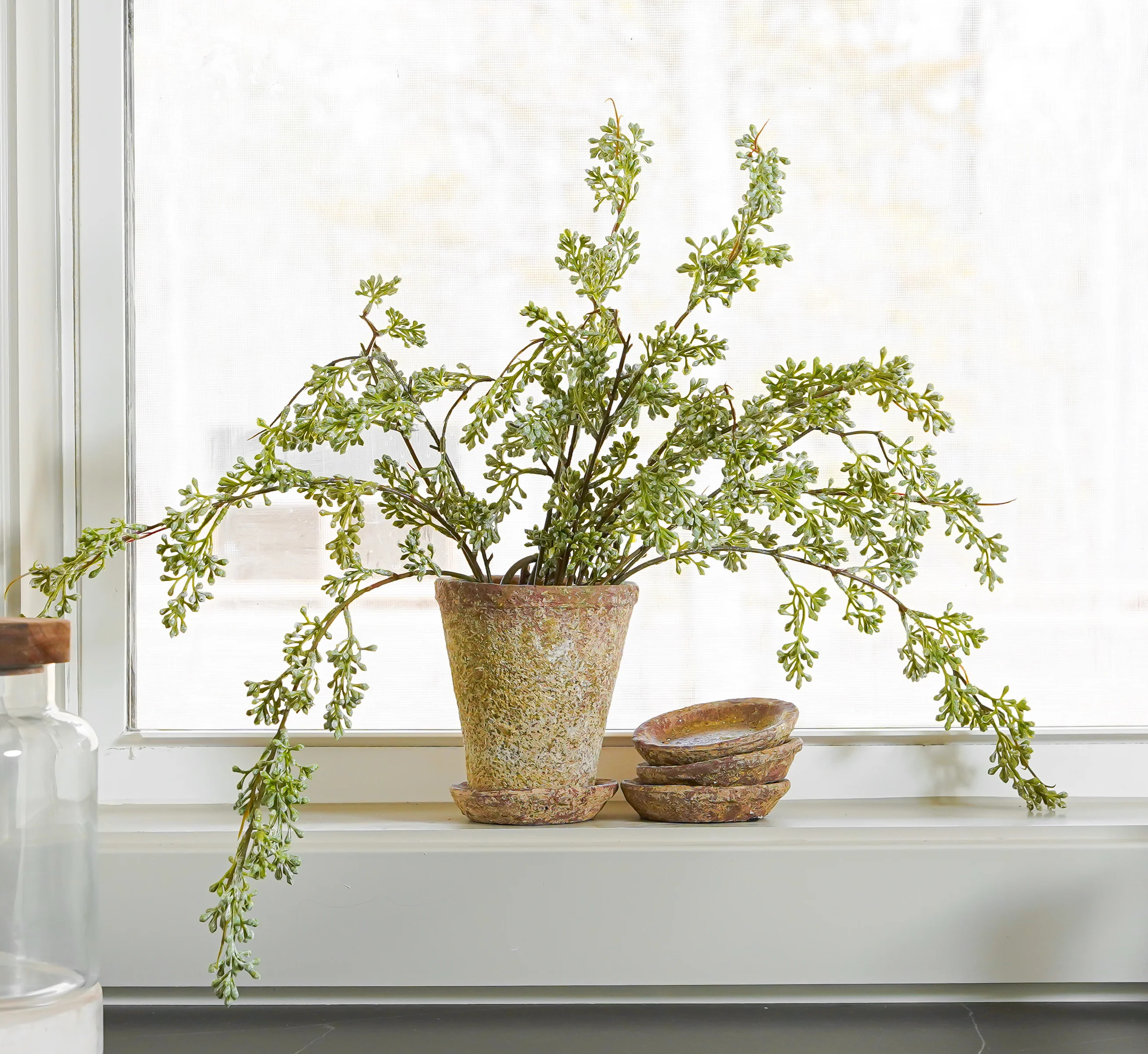 Jaxon Terra Cotta Pot | Small | MJHome