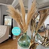 BOHO HOME DECO | 3 Stems Large Dried Pampas Grass | Fluffy Wedding Bouquet Arch Pampas Grass Design  | Amazon (US)