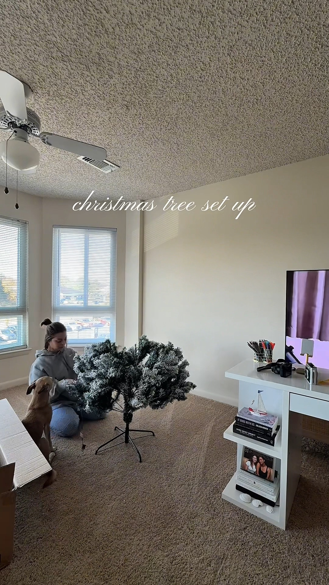 at my place we skip straight to christmas🎄

#LTKHoliday #LTKFindsUnder100 #LTKSeasonal