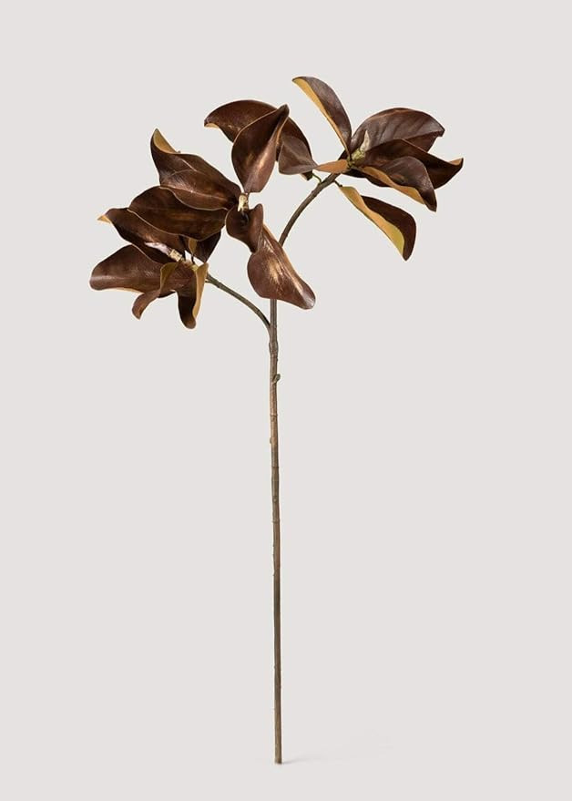 Warm Aged Fake Magnolia Leaf Branch - 38.5" | Amazon (US)
