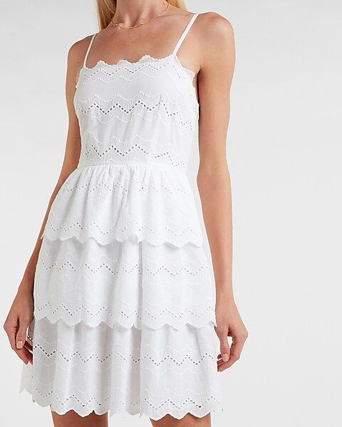 Tiered Lace Fit And Flare Dress | Express