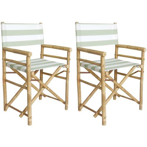 S/2 Director's Outdoor Chairs, Celadon/White | One Kings Lane