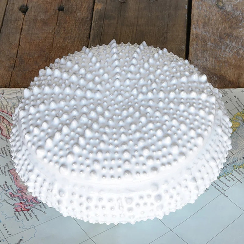 Large Sea Urchin Ceramic Jewelry Box | Wayfair North America