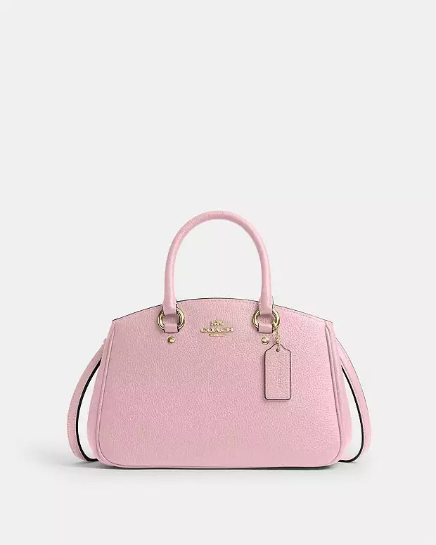 Savannah Small Carryall Bag | Coach Outlet US