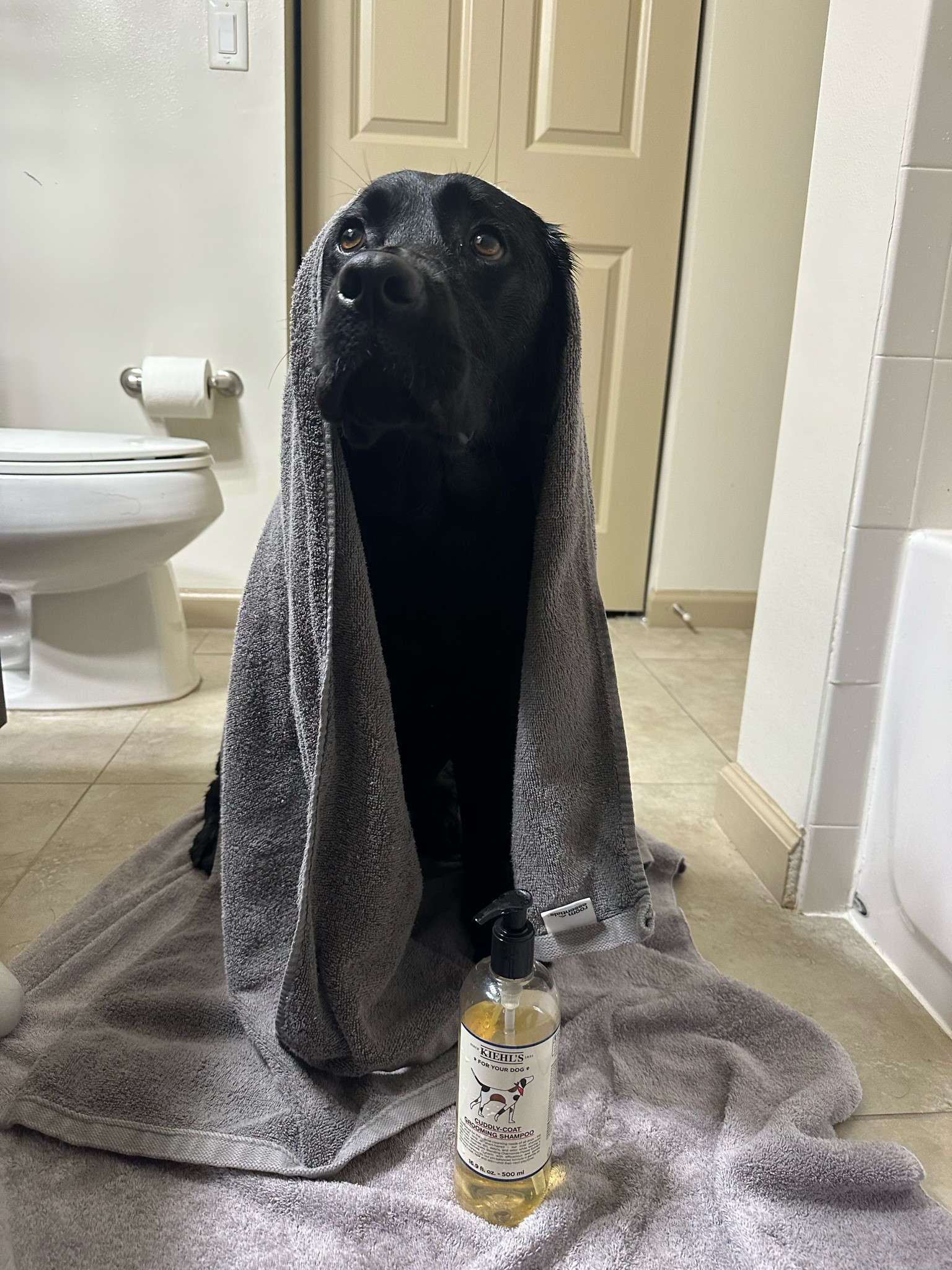 This shampoo is the BEST for bath day!  