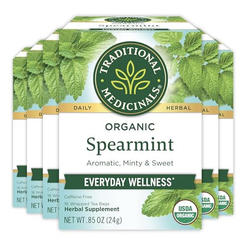 Traditional Medicinals Tea, Organic Spearmint, Supports Everyday Wellness, Healthy & Refreshing, 96 Tea Bags (6 Pack) | Amazon (US)
