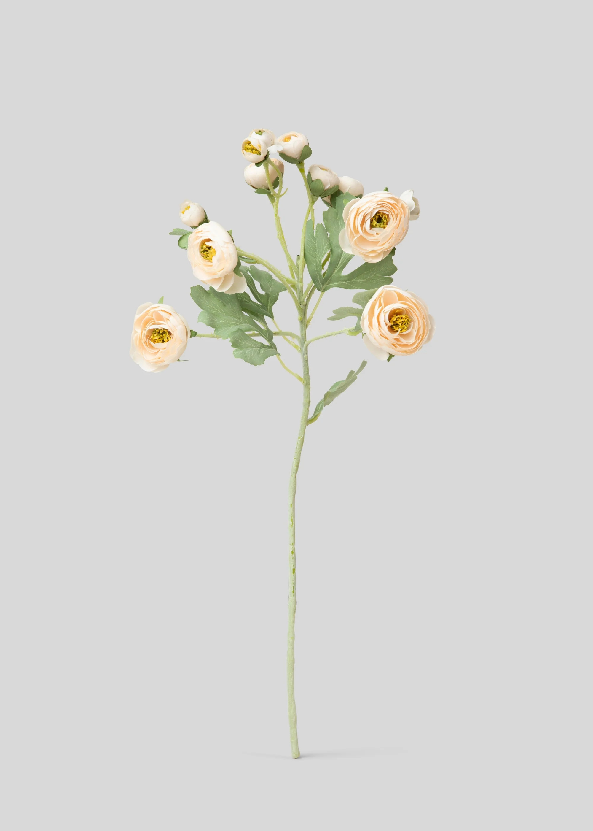 Artificial Blooming Ranunculus Flowers in Blush Peach - 21 | Afloral
