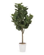 54in Fiddle Tree In Magnesium Oxide Pot | TJ Maxx