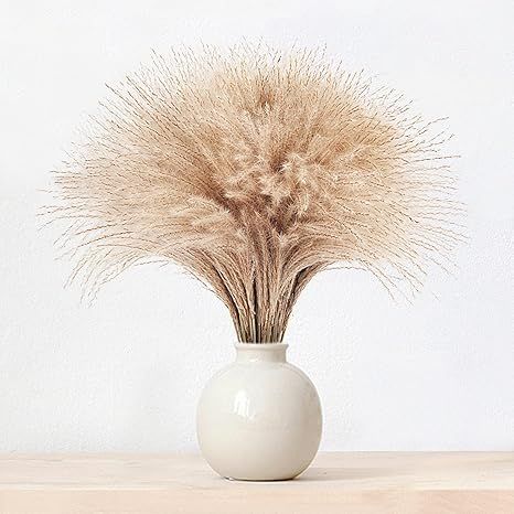 95Pcs Pampas Grass, Fluffy Pampas Grass Decor. Manually Selected Dried Pampas Grass Branches Natu... | Amazon (US)