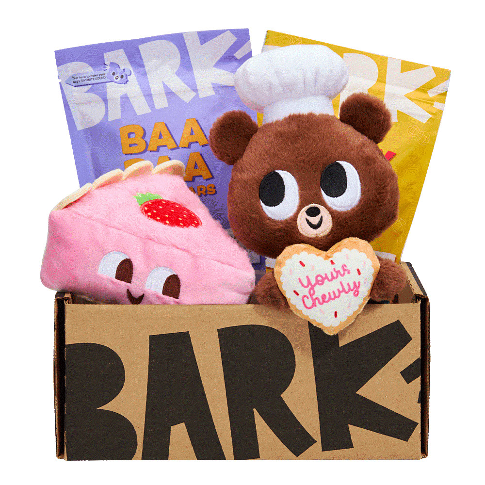 BarkBox Monthly Dog Subscription Box | BARK