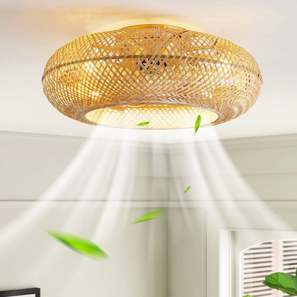 Hummingbird 20" Boho Ceiling Fans with Lights and Remote,Rattan Flush Mount Ceiling Fan with Ligh... | Amazon (US)