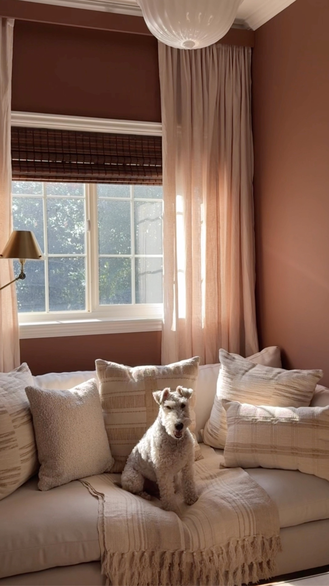 My favorite cozy window nook...

#LTKFindsUnder100 #LTKHome