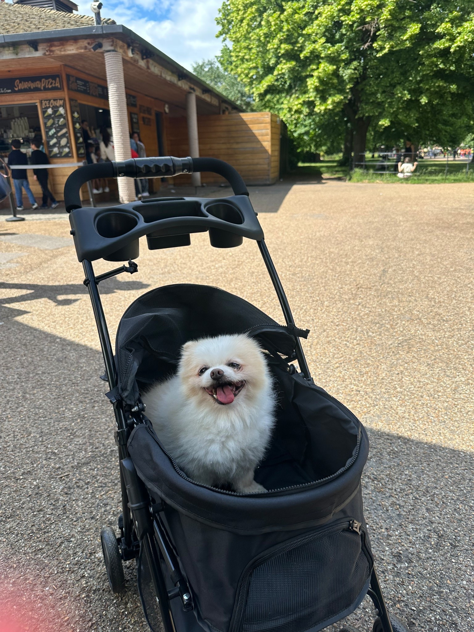 Doggy pram!!!