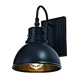 Addington Park 31766 Seascape Collection 1-Light Vintage Outdoor Wall Sconce, Black | Amazon (US)