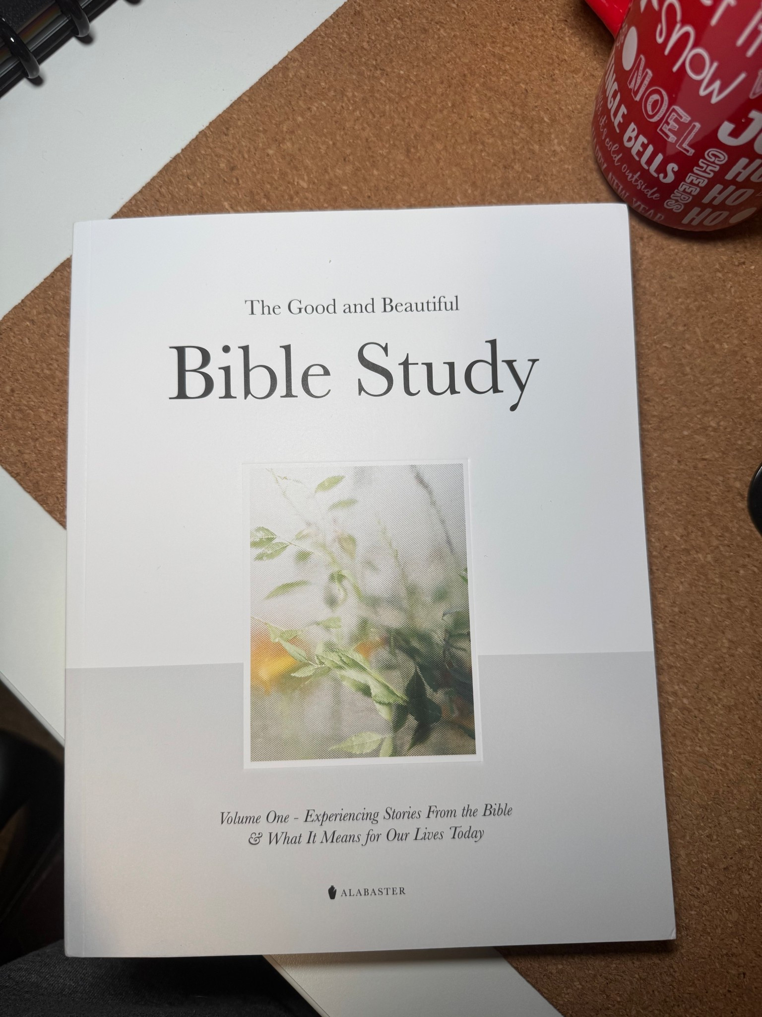The Good and Beautiful Bible Study 

#LTKFindsUnder50 #LTKFamily #LTKHome