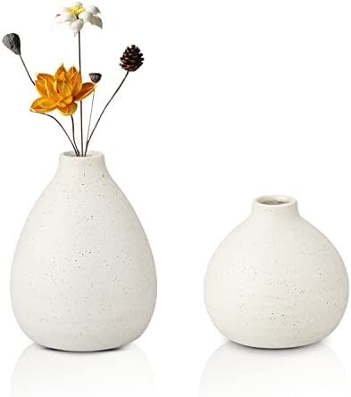 Decorative White Ceramic Vases Set of 2 Small Bud Vases for Rustic Home Decor Narrow Mouth Floral... | Amazon (US)