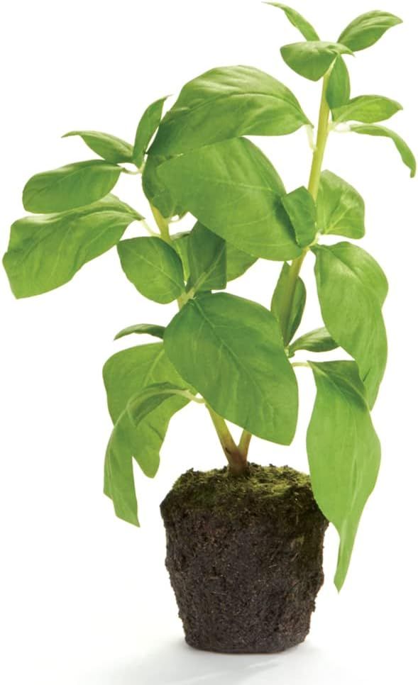 Basil Dropin 9" Artificial Faux (Fake) Herb Drop-In Plant | Amazon (US)
