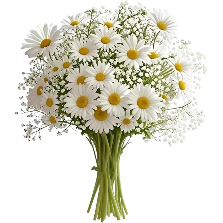 Slccxzc 30 Pcs Artificial Baby's Breath And Daisy Bouquet, Fake Flower Bouquet, Rustic Floral Dec... | Walmart (US)