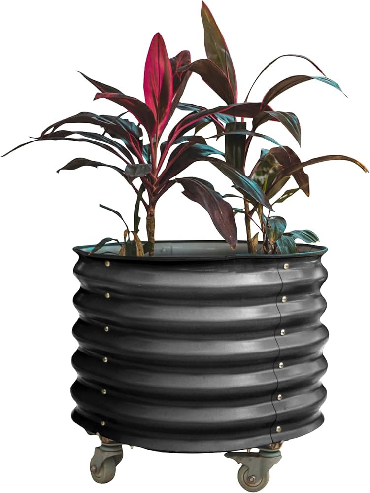 Vego garden Self-Watering Rolling Citrus Planter Raised Garden Bed Kits, Single Pack-Modern Gray | Amazon (US)