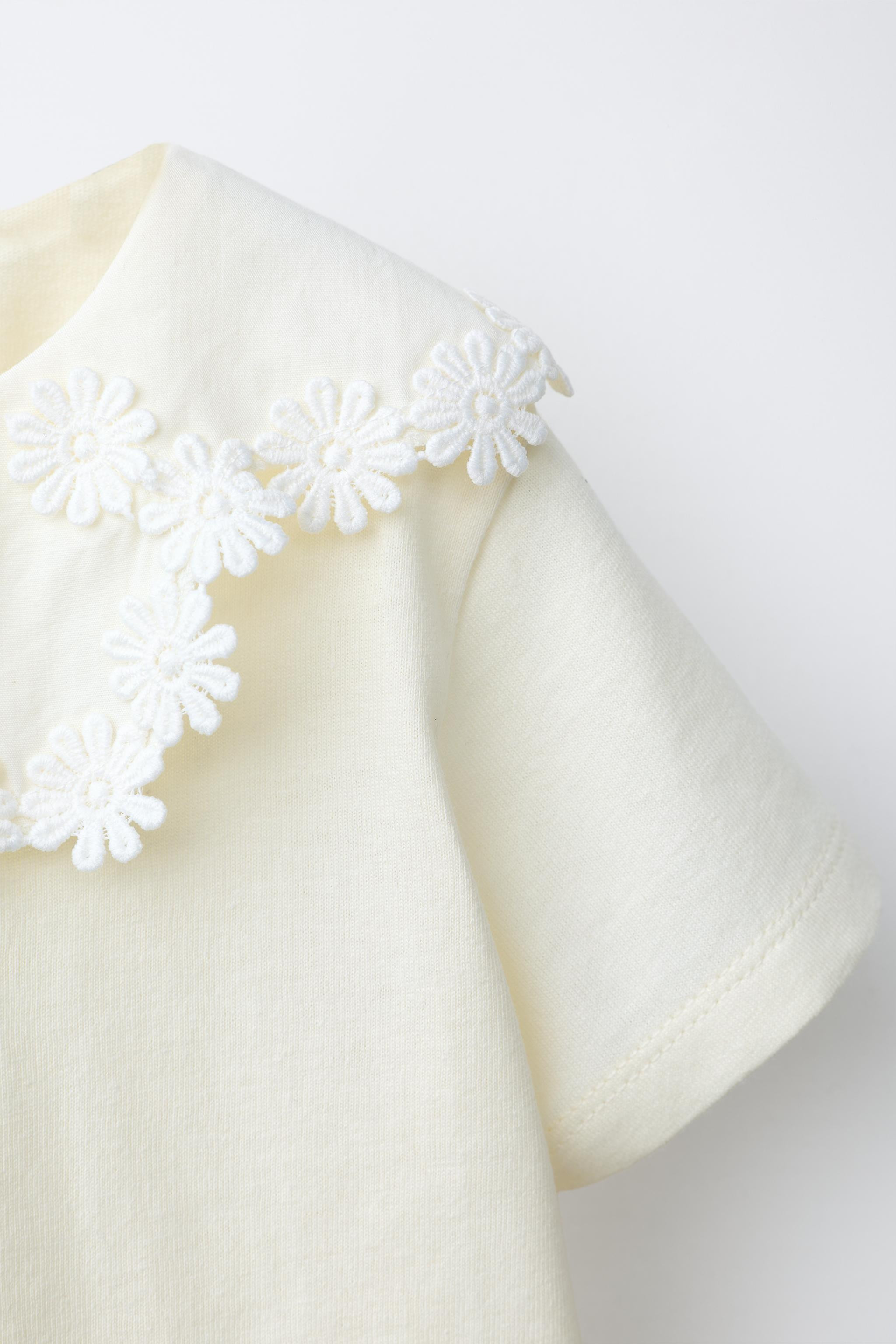 DAISY PETER PAN COLLAR T-SHIRT | Zara US