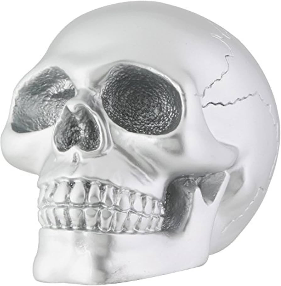 Silver Skull Head Collectible Skeleton Decoration Statue | Amazon (US)
