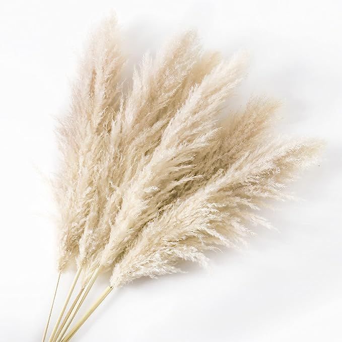 BARABELLA 43' Natural Dried Pampas Grass, Set of 6 Stems - Pompous, Tall, Large, and Fluffy Pampa... | Amazon (US)