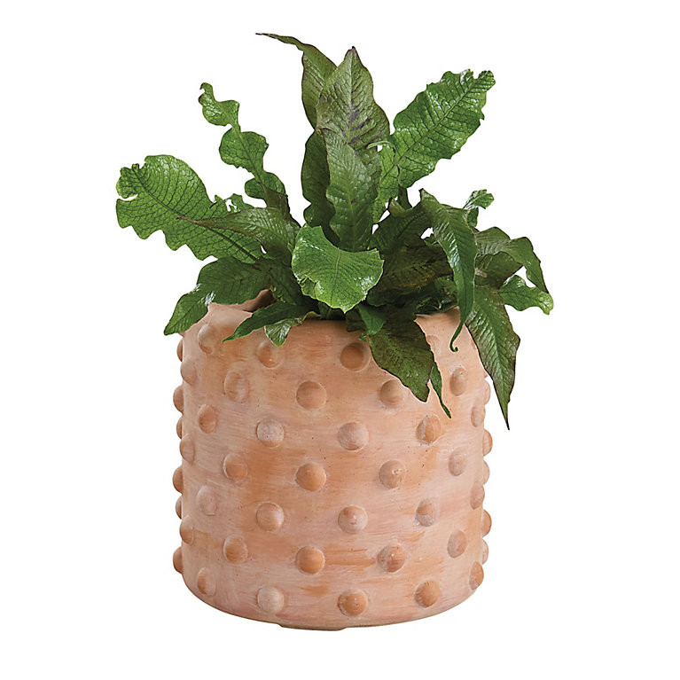 Carson Kressley Bauble Planter | Ballard Designs, Inc.