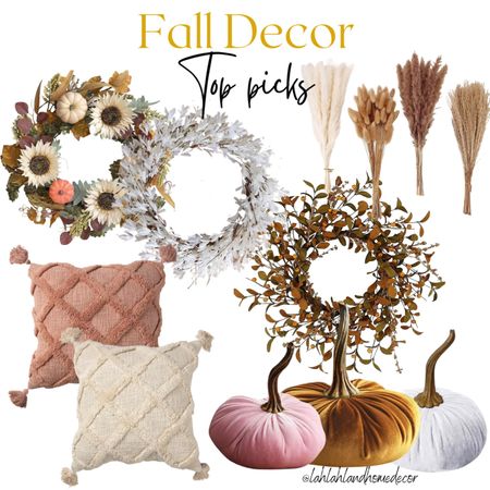 Fall decor top picks of the season under $30! velvet pumpkins | wreath | toss throw pillows 

#LTKSeasonal #LTKFind #LTKunder50