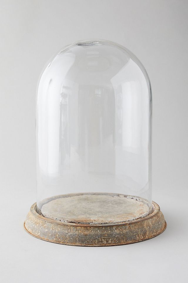 Distressed Iron + Glass Cloche | Anthropologie (US)