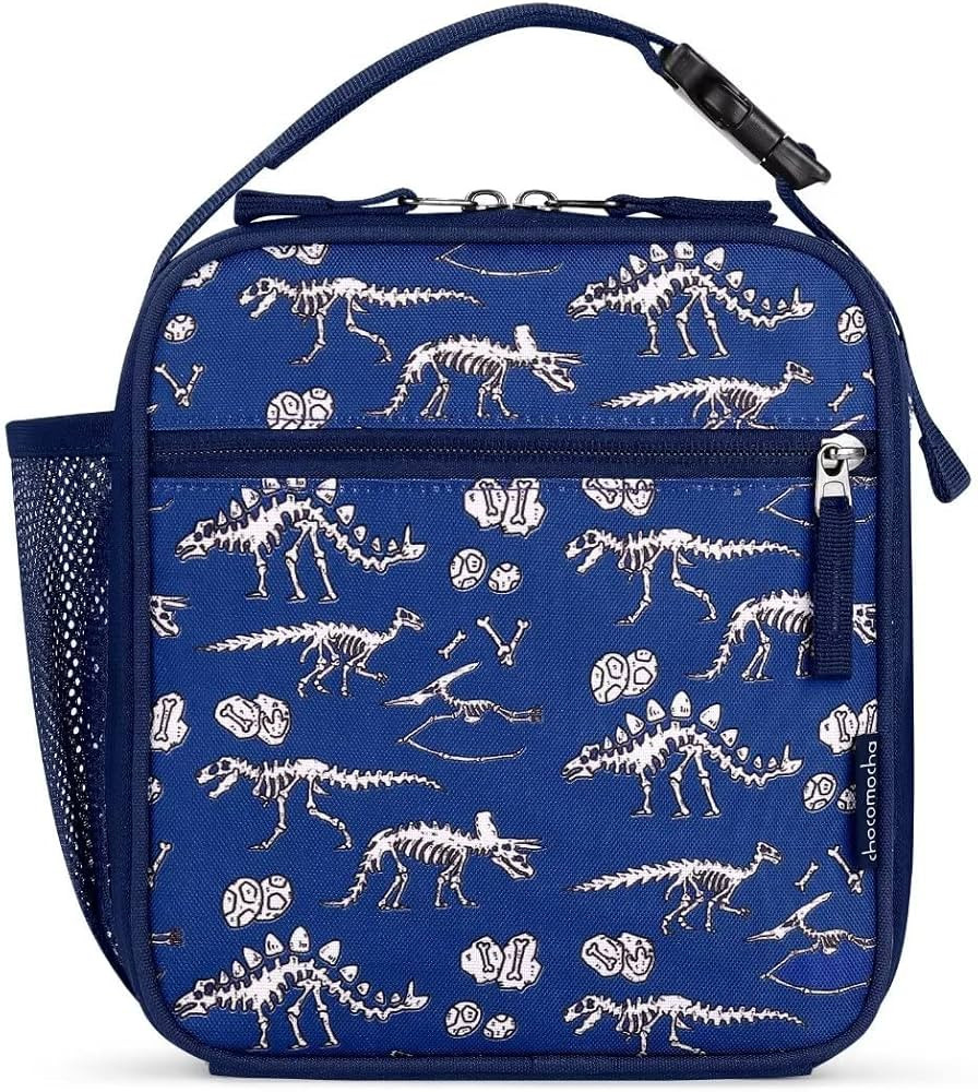 Choco Mocha Boys Lunch Box for School, Dinosaur Fossils Lunch Bag for Kids Toddler, Blue | Amazon (US)