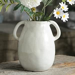 Tanvecle White Ceramic Vase with 2 Handles, Modern Farmhouse Vase for Home Decor, Rustic Terracot... | Amazon (US)