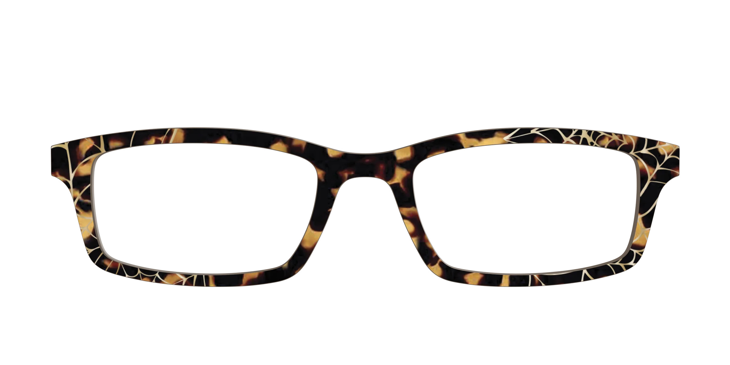 The Haunted Tortoise with Gold Foil Webs | Pair Eyewear