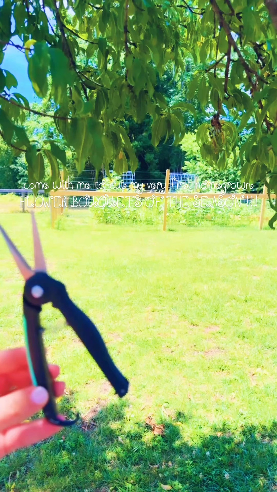 come with me to cut my very first homegrown FLOWER BOUQUETS OF THE SEASON !!!