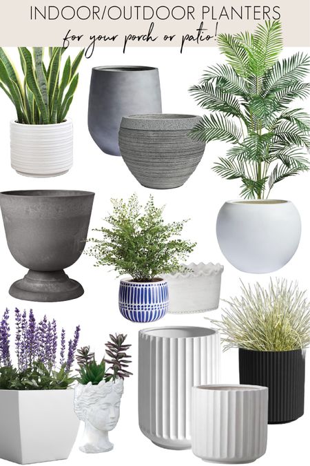 Take advantage of @Wayfair’s BIG Outdoor Sale (up to 50% off and fast shipping!) and bring your outdoor space to life with greenery in beautiful baskets and planters! #wayfair #wayfairpartner
Outdoor planters, concrete planters, fluted planters, urn planter, white planter, bust planterrs

#LTKfindsunder100 #LTKhome #LTKsalealert