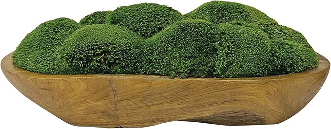 Uttermost Kinsale Green Moss 19" Wide Centerpiece in Natural Wood Bowl | Amazon (US)