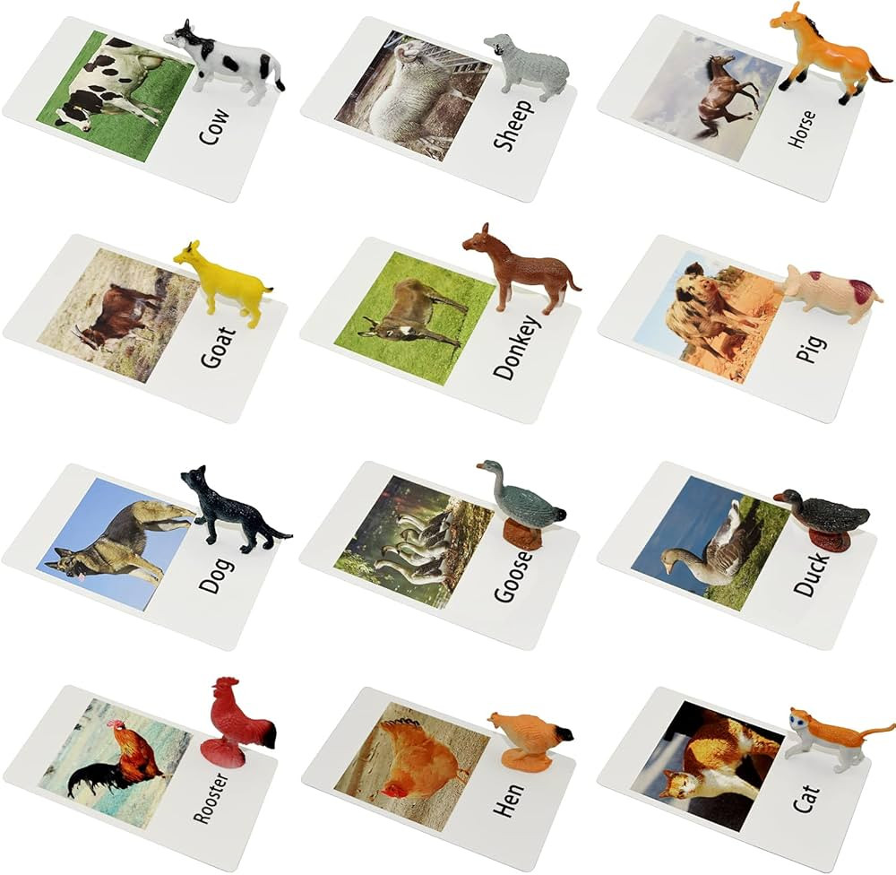 Farm Animal Toys with Flash Cards - 12 Sets of Realistic Animal Figures - Educational Learn Cogni... | Amazon (US)
