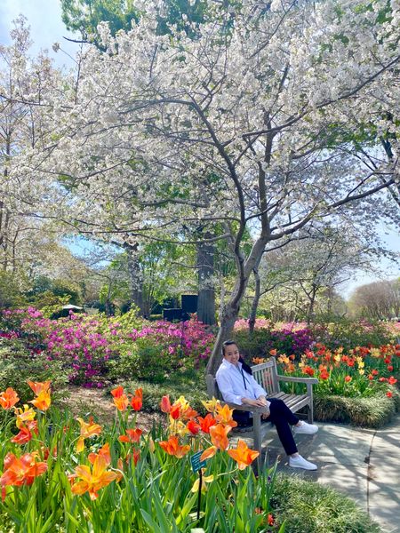 A simple outfit for a visit to the Dallas Arboretum for spring:

—100% linen button down
—Black trousers 
—Grey tank
—White leather sneakers 
—Crossbody bag

#LTKfindsunder50 #LTKstyletip #LTKfindsunder100