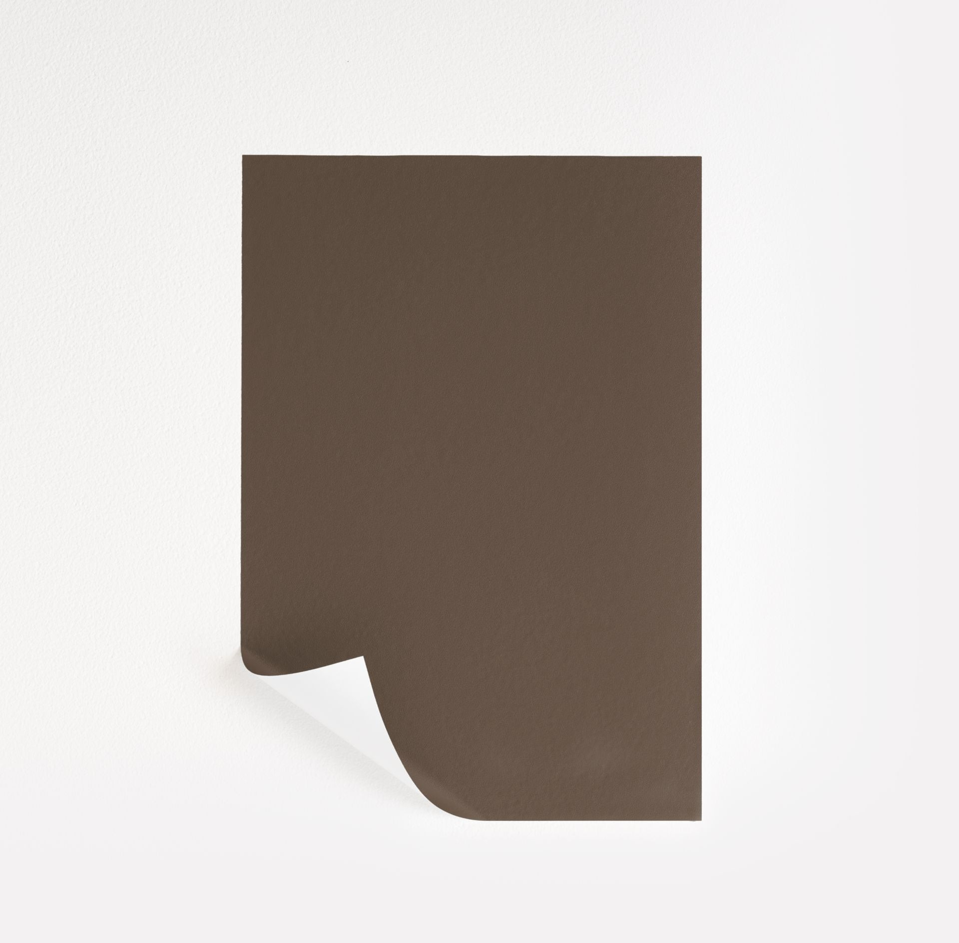 Dixon Brown Paint Sample by Benjamin Moore (CW-160) | Peel & Stick Paint Sample | Samplize