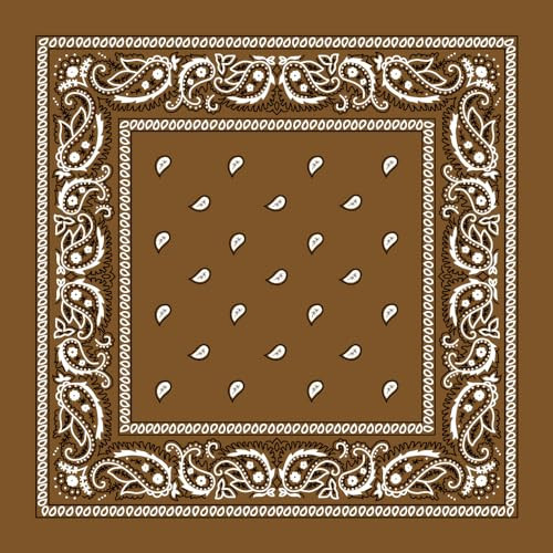 Brown Paisley Bandana - Single Piece 22x22 | Amazon (US)