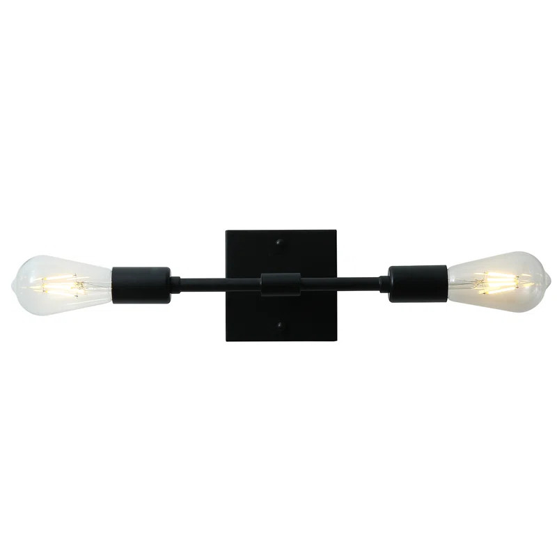 Jaesean 2 - Light Dimmable Black Vanity Light | Wayfair Professional