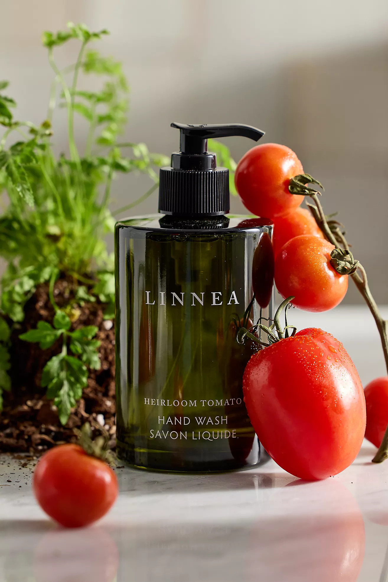 Linnea Heirloom Tomato Hand Wash | Anthropologie (US)