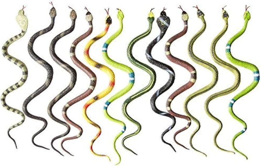Rhode Island Novelty 14" Rain Forest Snakes | Assorted Designs | Set of 12 | Amazon (US)