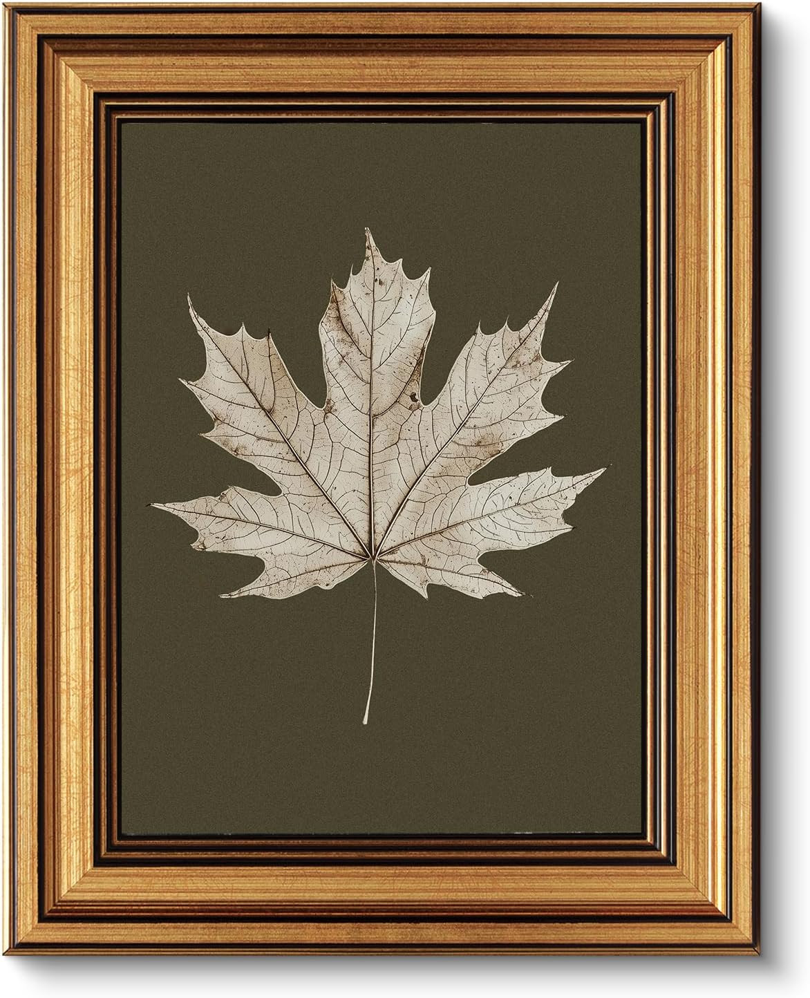 VIYYIEA Vintage Gold Framed Wall Art for Living Room, Maple Leaf Canvas Prints Home Decor, Oil Painting Picture, Bedroom Wall Decor Gifts for Friends or Family -【Maple Leaf Specimen】-(10L x 8W) | Amazon (US)