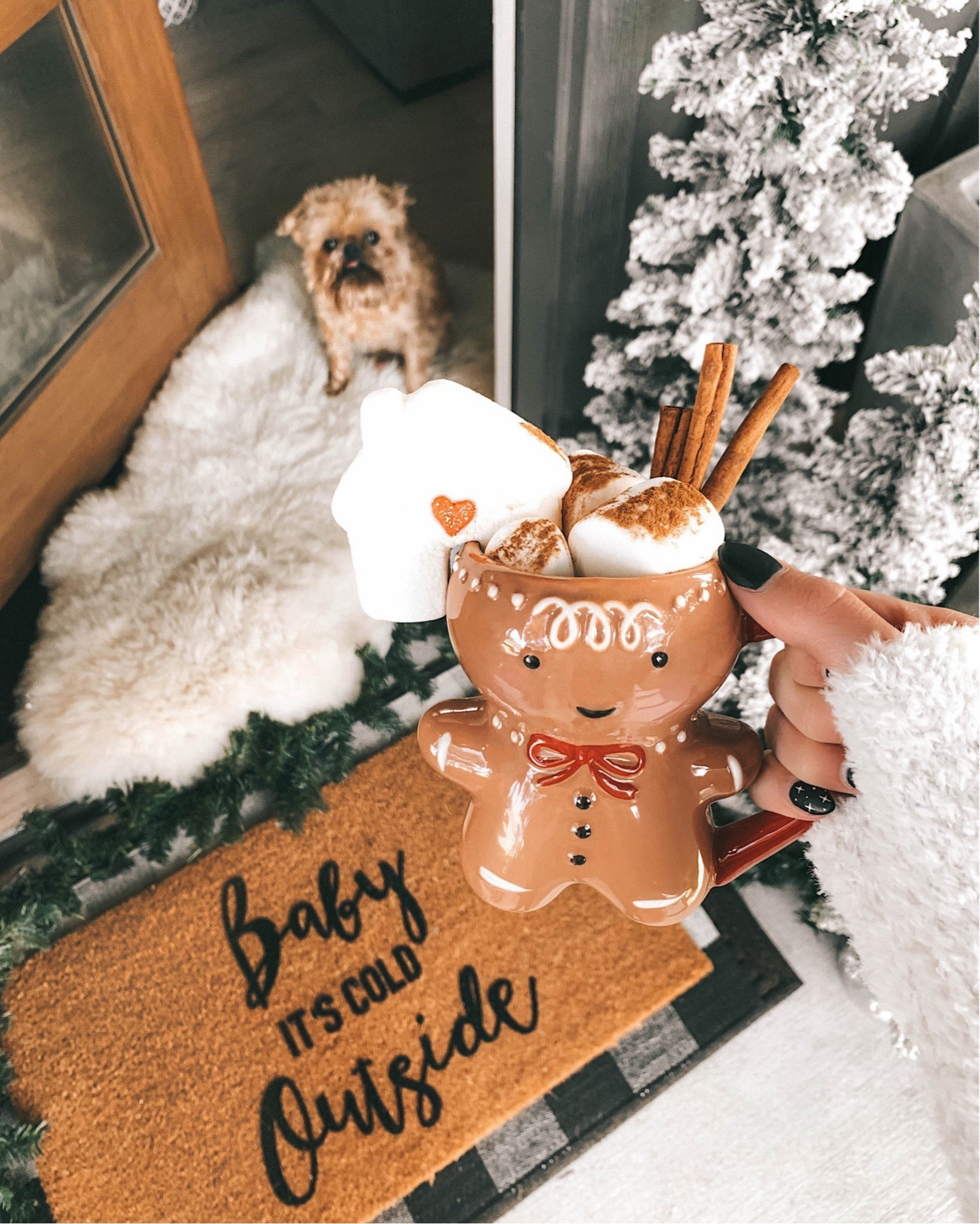 Rounded up some of my favorite Christmas coffee mugs and Christmas doormats! 

Christmas decor, holiday decor, home decor

#LTKHome #LTKHoliday #LTKSeasonal