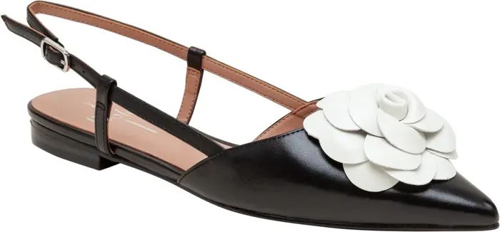 Cammy Slingback Pointed Toe Flat (Women) | Nordstrom